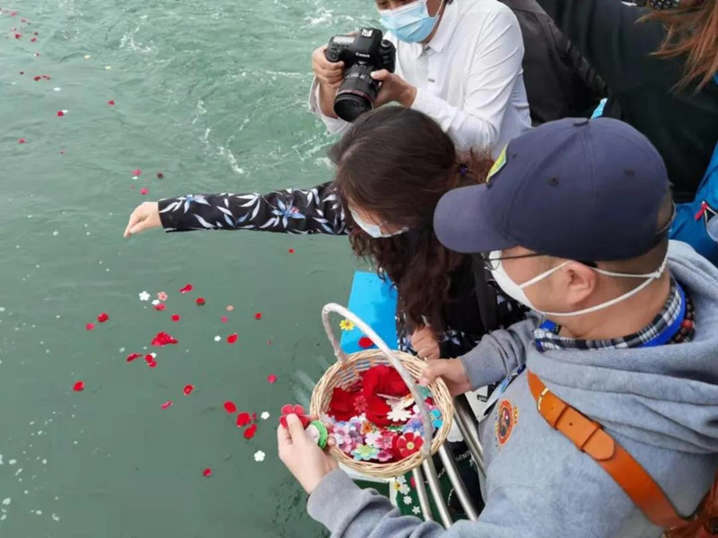 预约公益性海撒，今年还能出海吗？着急出海怎么办？
